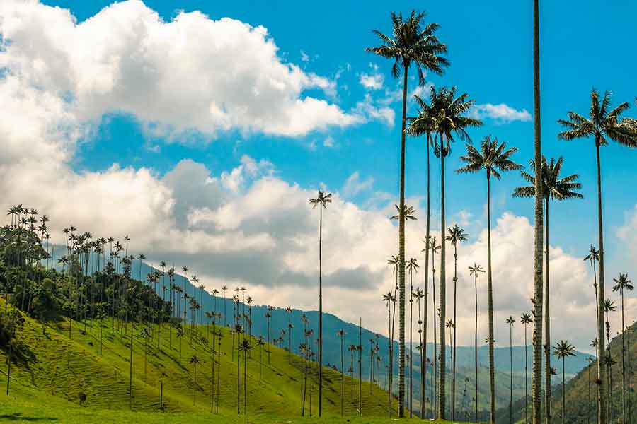 Lista De Lugares Para Visitar En Colombia Colombia Travel