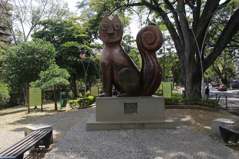 Destination for meeting cali Image of cats park in cali colombia