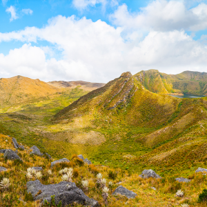 Paramo of Chingaza's natural landscape under a clear sky