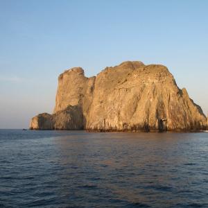 Foto Santuario de Fauna y Flora de Malpelo