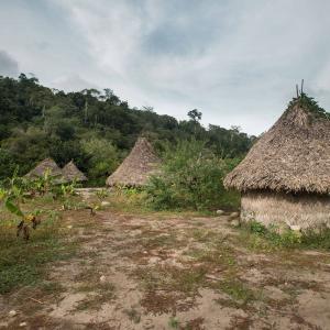 Pueblito, en el Tayrona