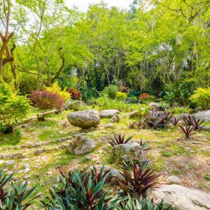 Foto Jardín Botánico Eloy Valenzuela