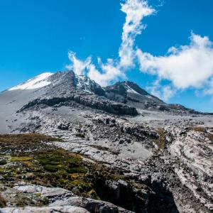 Visit the Los Nevados National Natural Park