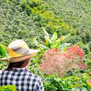 Mujer con sombrero en el paisaje cultural cafetero