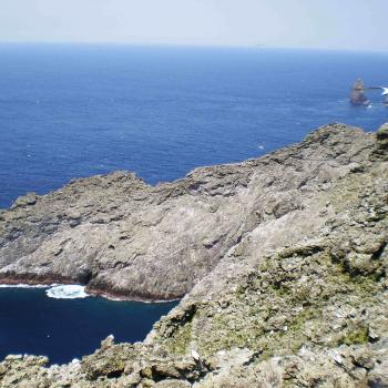 Malpelo