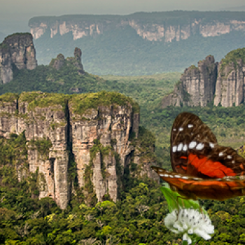 Este paraíso amazônico, possui chapadas que têm o triplo do tamanho da Torre Eiffel