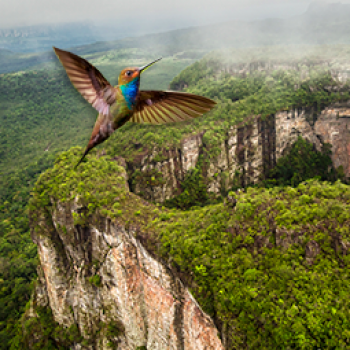 Um lugar onde a natureza extraordinária se mistura com a riqueza arqueológica para formar este majestoso território no coração da Amazônia colombiana