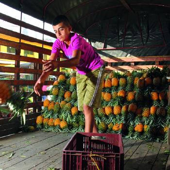 Uma aventura gastronômica espera por você nos mercados municipais colombianos