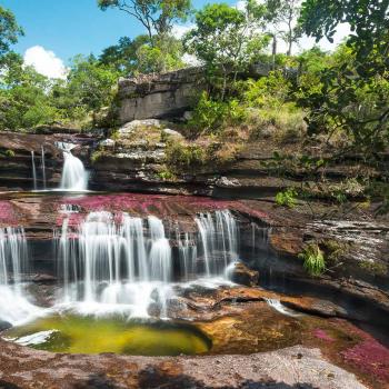 river of colors in Caño Cristales Colombia