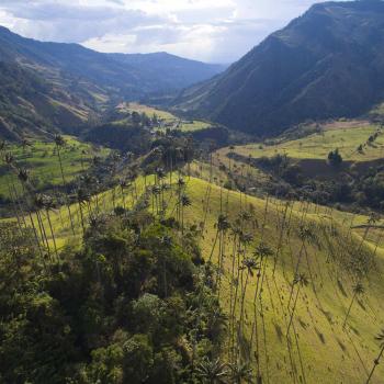 Paisaje Cultural Cafetero