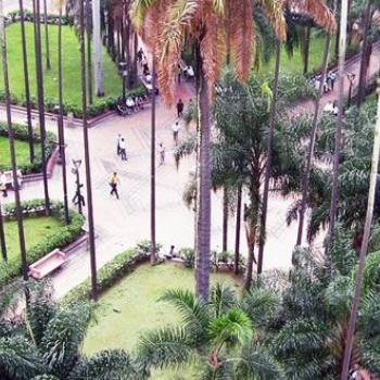 foto Plaza Caycedo
