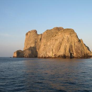 Foto Santuario de Fauna y Flora de Malpelo