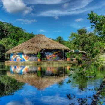 foto de Bioparque Los Ocarros