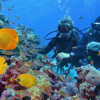 Un turista hace buceo en Cartagena