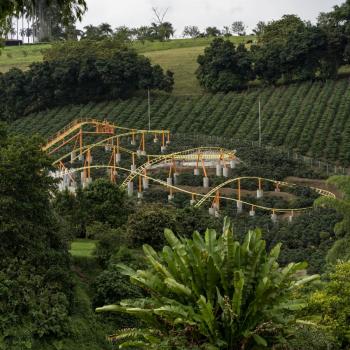 Foto Goza en el Parque Nacional del Café