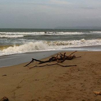 Foto de las playas de Santa Verónica