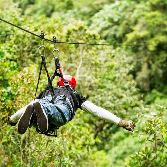 Canopy Los Caracolíes